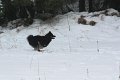 franzi-badberka (12)